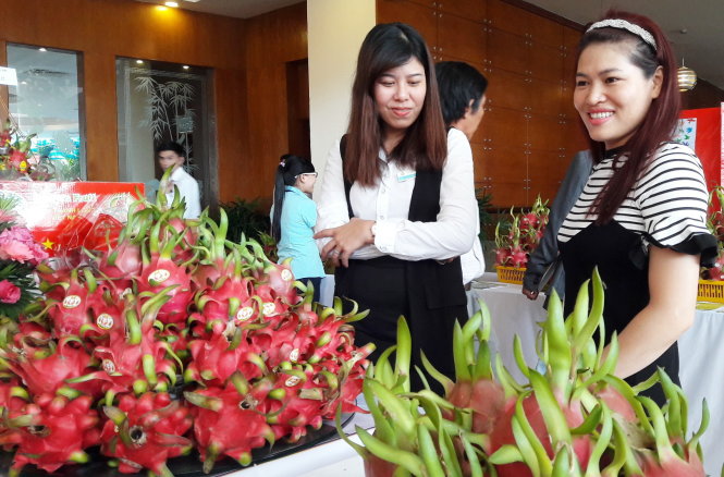 Xuất khẩu thanh long đã vươn ra thị trường thế giới mạnh mẽ -Nguyễn Nam