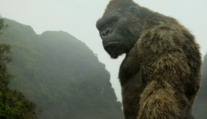 Hai siêu quái vật phòng vé Godzilla x Kong trở lại- Ảnh 2. King Kong sẽ có thêm phim truyền hình