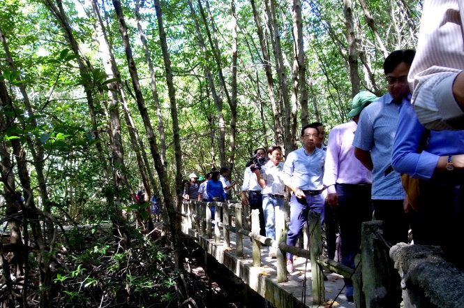 Các cơ quan chức năng TP.HCM và công ty du lịch khảo sát rừng ngập mặn Cần Giờ-Tự Trung