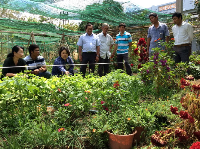 Bà Ino Mayu (người ngồi thứ ba từ trái sang) hướng dẫn nông dân nhóm An Phú, xã An Hòa Tây trồng rau PGS hữu cơ-Lư Thế Nhã