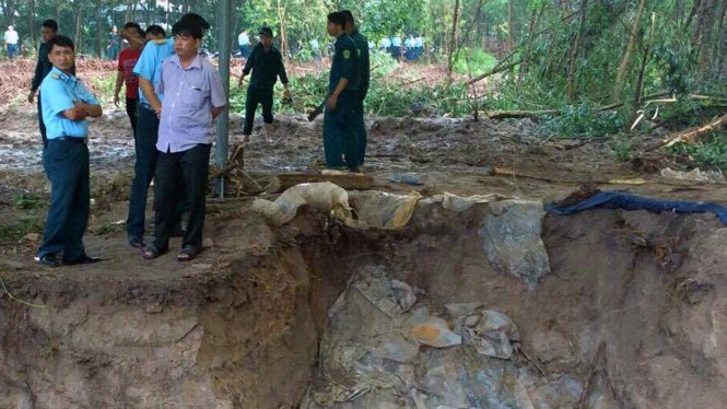 Phát hiện hố chôn tập thể nghi mộ liệt sĩ cạnh quốc lộ 19 - Ảnh 2.