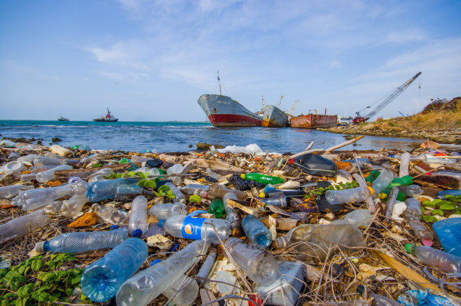 Con người đã thải một lượng đồ nhựa khổng lồ vào đại dương -inhabitat.com