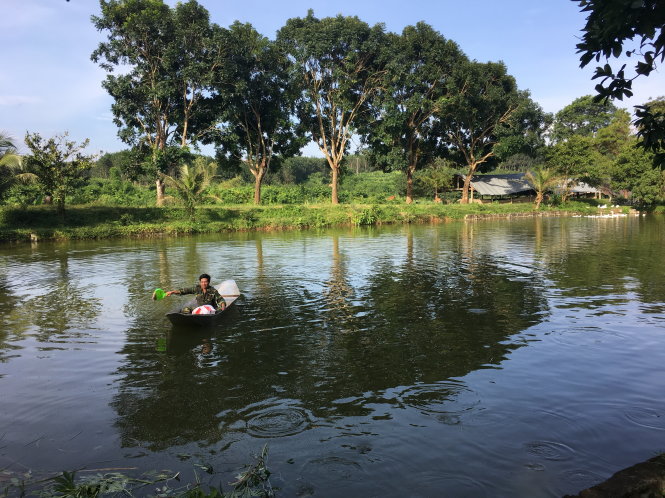 Toàn bộ nguồn thực phẩm cung cấp cho bữa ăn sáng được lấy từ trang trại thanh niên của Công ty 78. -Ảnh: My Lăng