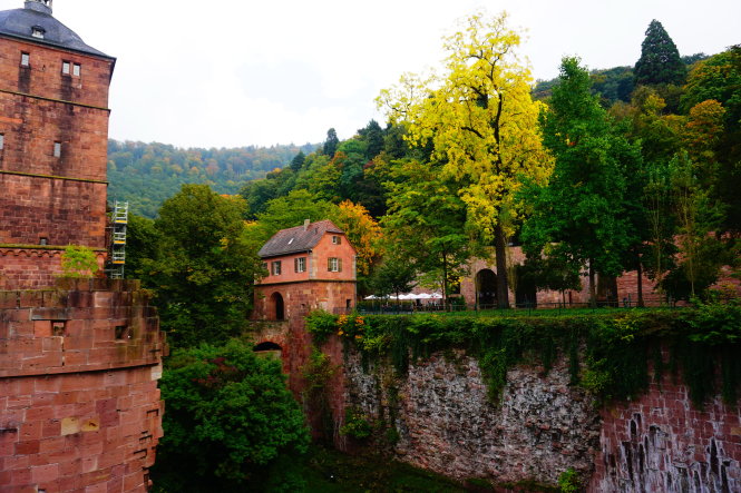 Với tôi, mỗi chuyến đi, mỗi trải nghiệm đều để lại một bài học hay (góc tuyệt đẹp ở lâu đài Heidelberg, Đức).-Ảnh: Công Nhật