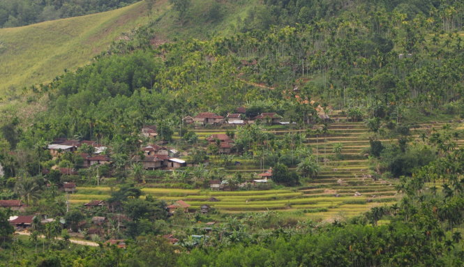 Những bản làng đẹp như tranh, đằng sau ấy là những câu chuyện buồn từ lá ngón. Ảnh: TRẦN MAI