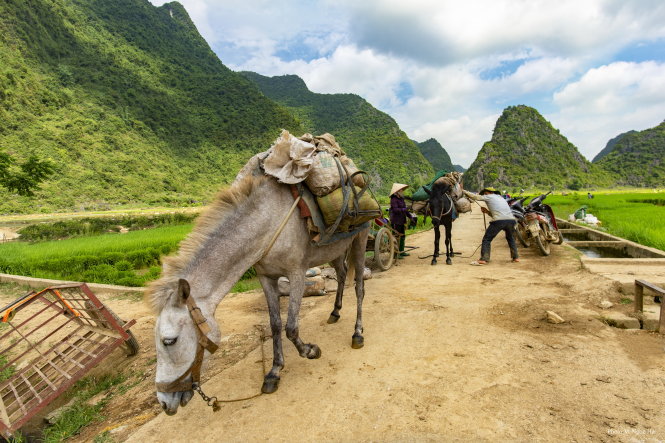 Lồ là phương tiện duy nhất làm nhiệm vụ chuyển hàng hóa, nông cụ qua sông, leo núi đá và lội những thửa ruộng sâu mà trâu bò không thể di chuyển