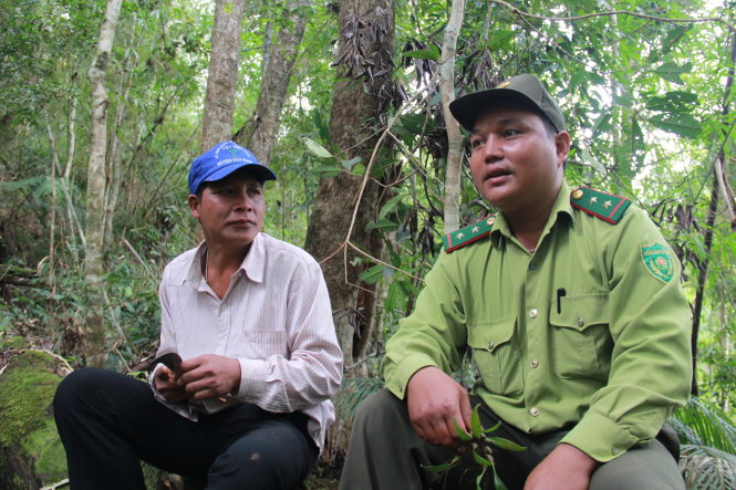 Anh Nhú (phải) và ông Mia có thể nhớ chính xác vị trí từng cây gỗ quý trong khu vực rừng rộng đến hơn 2.000ha. Ảnh: Trần Mai