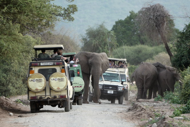 Du khách đi Game Drive. Ảnh: T.T.L.