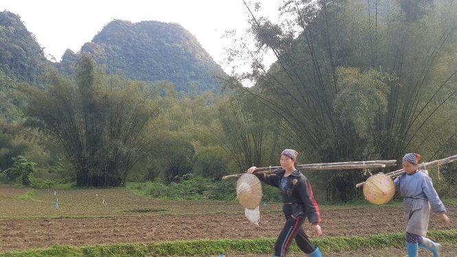 Làng quê bình yên sẽ để lại cho du khách nhiều cảm xúc. Ảnh: Thái Lộc