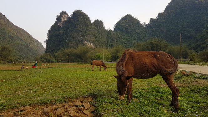 Góc bình yên.  Ảnh: Thái Lộc