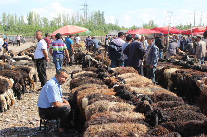 Chợ gia súc cuối tuần ở Kashgar có tuổi đời hơn 2.000 năm.