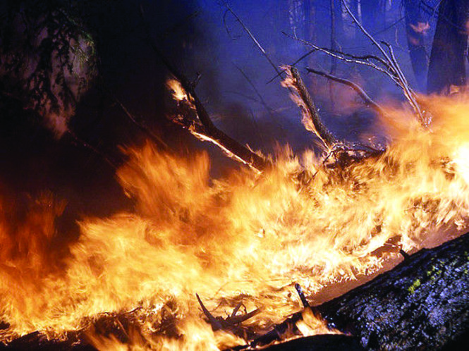 Cháy rừng ở Đông Siberia. Đến 16/7, diện tích rừng bị cháy ở Đông Siberia lên tới 350 nghìn hecta. Ảnh: rosbalt.ru