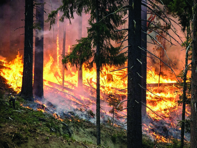 Những trận cháy rừng ở Krasnoyarsk hầu như không được dập tắt vì những lý do kinh tế. 
Ảnh: kurer-sreda.ru
