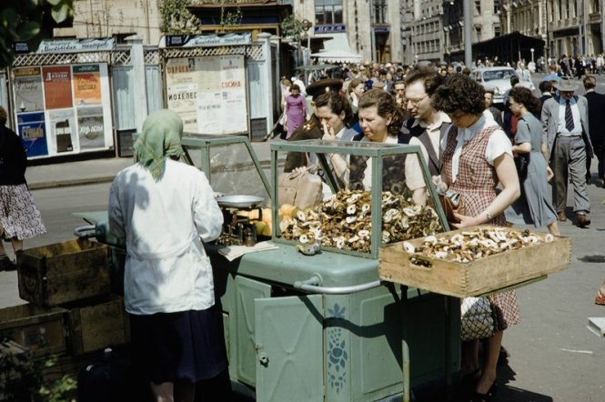 Mua hàng trên đường phố Matxcơva thập niên 1950.