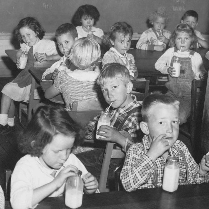 Các chương trình sữa học đường bắt đầu ở Anh. Ảnh: thisishell.com