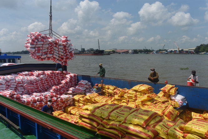 Công nhân cảng Mỹ Thới, TP Long Xuyên, An Giang đưa gạo chuyển qua tàu Hà Đồng vận chuyển đi Philippines vào sáng 21-4. Ảnh: Bửu Đấu