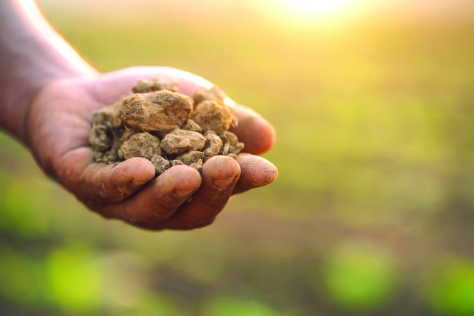 Close up hand holding dry soil at the field in sunrise or sunset time. Growth plant concept