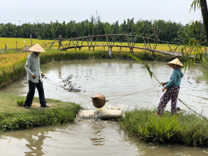 Một trong các điểm du lịch làng quê tại Hội An (Quảng Nam) đang được tổ chức lại để hướng vào khách nội địa. Ảnh: T.B.D.