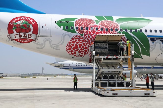 Một chuyến bay chở quả vải xuất khẩu được trang trí đặc biệt để quảng bá sản phẩm của Hãng hàng không China Southern. Ảnh: Twitter