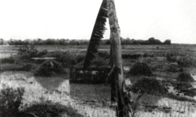 Nghĩa địa Gò Lâu, Tây Lương, nơi đã từng chôn hàng trăm người chết đói năm 1945. Ảnh: Võ An Ninh
