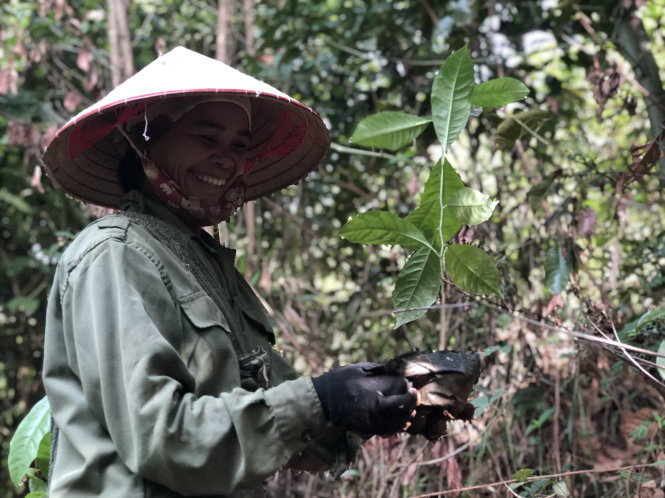 Chị Hà Thị Hường (sinh năm 1974, người Thái, bản Thín) tham gia trồng rừng phục hồi cho bản ngày 24-6-2020. Ảnh: HỒNG VÂN