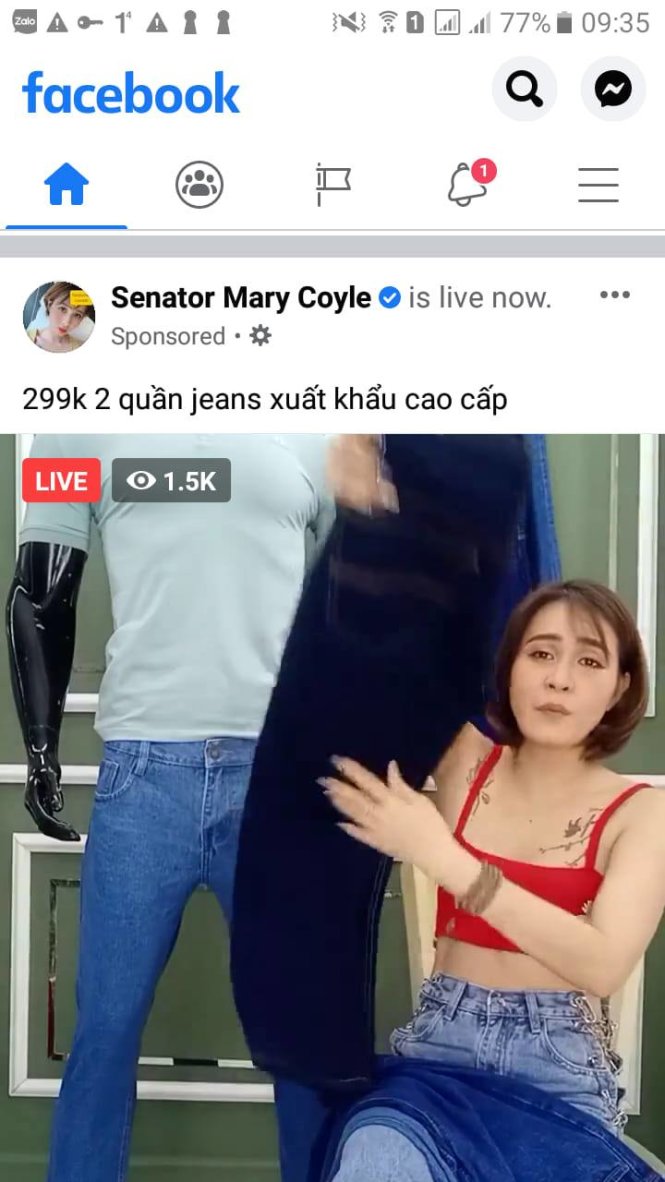 Một trang Facebook dưới tên mạo danh Thượng nghị sĩ Mary Coyle (Canada) có dấu tick xác thực nhưng lại chuyên phát live bán hàng. Ảnh chụp màn hình