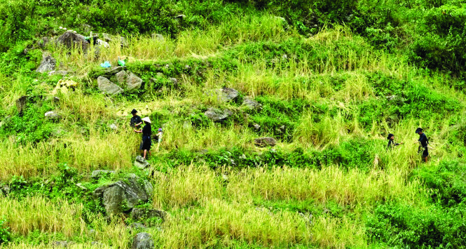 Len lỏi trên những vách đá nhọn để trồng lúa ở Hà Giang. Ảnh: Huy Thọ