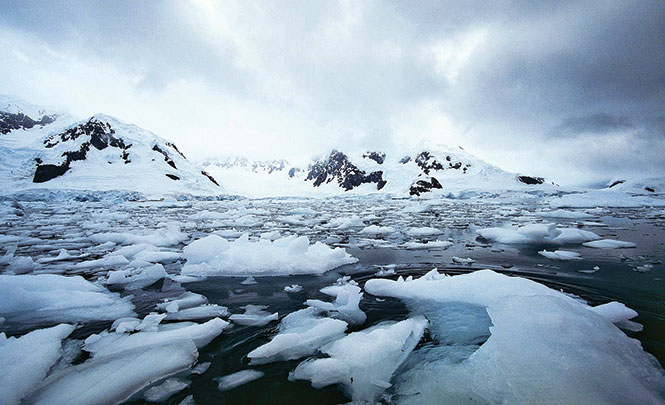 Phần phía tây của Nam Cực đang tan chảy nhanh chóng vì sự nóng lên toàn cầu - Ảnh: huffpost.com
