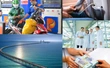 Tin nóng hôm nay: TPHCM sắp khởi công 10 dự án trọng điểm hơn 381.000 tỉ đồng | TPHCM lập 7 Khu Nông nghiệp ứng dụng công nghệ cao | Từ 1-7, hành khách không được mang quá 2 sạc dự phòng lên máy bay | Đề xuất nâng ngưỡng thu nhập người phụ thuộc lên 3 triệu đồng/tháng