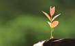 Kết thúc để bắt đầu…