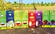 Một hệ sinh thái 'tiếp sức thiết thực' nhìn từ câu chuyện 'tự bơi' của một doanh nghiệp