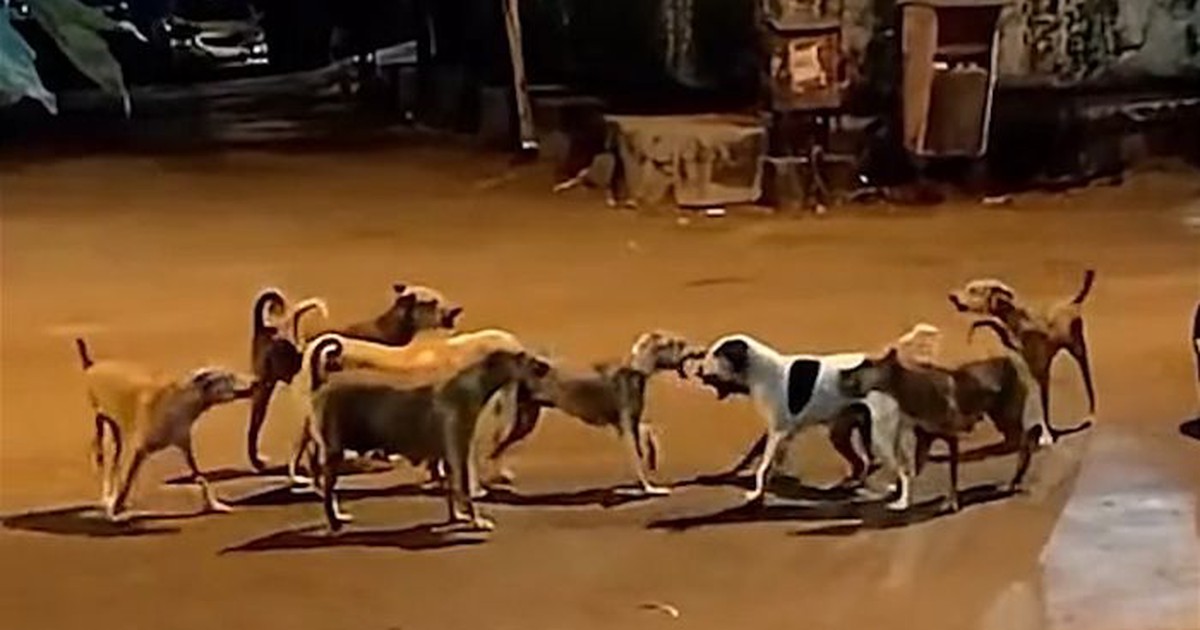 cuoi.tuoitre.vn