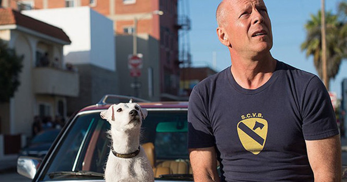 ''Già gân'' Bruce Willis trở lại màn bạc vì một chú chó cưng