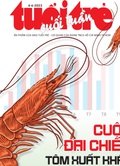 Tuổi Trẻ Cuối Tuần số 21-2023: "Cuộc đại chiến tôm xuất khẩu"