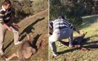 Cộng đồng mạng phẫn nộ người Trung Quốc chém kangaroo tới chết