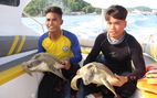 Thả 9 con rùa biển quý hiếm về biển Phú Quốc