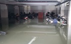 Hàng trăm xe máy ngập sâu trong tầng hầm căn hộ cho thuê