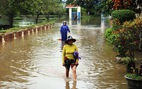 Thừa Thiên - Huế: mưa lớn gây ngập cục bộ, một người mất tích