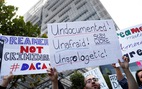 Thẩm phán Mỹ yêu cầu khôi phục chương trình DACA về nhập cư
