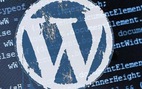 Cảnh báo lỗ hổng bảo mật nguy hiểm trong Wordpress