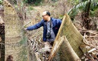 Để phá rừng tràn lan, hàng loạt cán bộ kiểm lâm Thanh Hóa bị kỷ luật