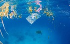 Du lịch biển Việt Nam quyết không còn rác thải nhựa