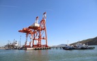 Kế hoạch cảng Quy Nhơn 2019: Không nhắc thu hồi 75% cổ phần nhà nước