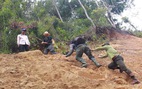 Tây Giang gìn giữ rừng xanh - Kỳ 1: Sáu năm một vụ phá rừng
