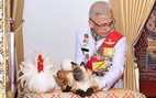 Con mèo Xiêm trong lễ đăng cơ của vua Thái là mèo giả hay thật?