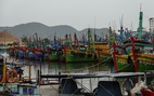 Hai tàu cá Bình Định chìm trên đường tránh trú bão, 26 ngư dân mất tích