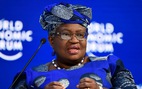 Mỹ ngăn kinh tế gia châu Phi làm tổng giám đốc WTO vì có khả năng 'thân Trung Quốc'