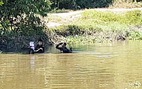 Công an tìm vật chứng trên kênh gần nhà hoang Tuấn 'khỉ' bị tiêu diệt