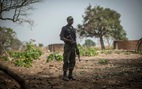 100 tay súng tấn công 6 ngôi làng ở Nigeria, ít nhất 50 người thiệt mạng