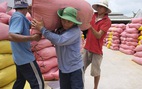 Bị nêu 'chưa làm nghiêm', Bộ Công thương muốn công khai việc mở tờ khai xuất khẩu gạo